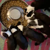 processed/870157c4-2b8a-4bd1-a6da-a4aa47401d41/facility/888277d8-6d57-444d-b2b8-726f30b1552d