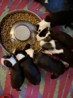 processed/870157c4-2b8a-4bd1-a6da-a4aa47401d41/facility/888277d8-6d57-444d-b2b8-726f30b1552d