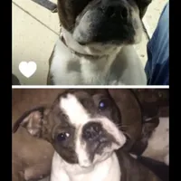 processed/870157c4-2b8a-4bd1-a6da-a4aa47401d41/facility/8a6f1d14-93ed-4f62-9c5f-5e714f6285d0