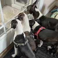 processed/870157c4-2b8a-4bd1-a6da-a4aa47401d41/facility/9d807b51-52d1-44e5-8ed7-6b1628be65bb