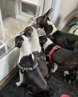 processed/870157c4-2b8a-4bd1-a6da-a4aa47401d41/facility/9d807b51-52d1-44e5-8ed7-6b1628be65bb