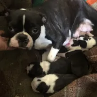 processed/870157c4-2b8a-4bd1-a6da-a4aa47401d41/facility/b77ad747-c69d-4704-9995-78fe351f420b