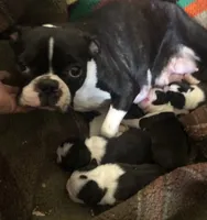 processed/870157c4-2b8a-4bd1-a6da-a4aa47401d41/facility/b77ad747-c69d-4704-9995-78fe351f420b