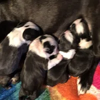 processed/870157c4-2b8a-4bd1-a6da-a4aa47401d41/facility/f5a497c2-2d65-481d-a8ff-1d704c761414