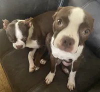 processed/870157c4-2b8a-4bd1-a6da-a4aa47401d41/listing/0b53f939-da4d-4885-9fe1-bb335658a2d7/529c1cfe-b7d4-44bb-b607-d6b4a7b2c44a