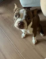 processed/870157c4-2b8a-4bd1-a6da-a4aa47401d41/listing/0b53f939-da4d-4885-9fe1-bb335658a2d7/52f9dbb9-ded4-4546-b95b-ee2b1a55d3ee