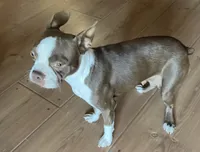 processed/870157c4-2b8a-4bd1-a6da-a4aa47401d41/listing/0b53f939-da4d-4885-9fe1-bb335658a2d7/67f3094f-be15-427c-bd25-c033e6868e65