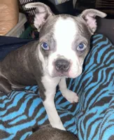 processed/870157c4-2b8a-4bd1-a6da-a4aa47401d41/listing/3f3c6c49-1f9e-476b-90b2-b392563d8e57/2b667706-ff3d-4840-9b4f-7fbeeda5908b