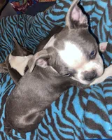 processed/870157c4-2b8a-4bd1-a6da-a4aa47401d41/listing/3f3c6c49-1f9e-476b-90b2-b392563d8e57/643f0c23-6adb-438f-96ab-43063cb71105