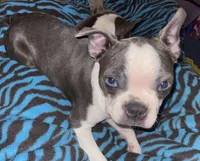 processed/870157c4-2b8a-4bd1-a6da-a4aa47401d41/listing/3f3c6c49-1f9e-476b-90b2-b392563d8e57/648a4a6e-ab0d-42e3-89af-45bad4184646