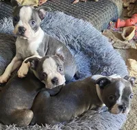 processed/870157c4-2b8a-4bd1-a6da-a4aa47401d41/listing/3f3c6c49-1f9e-476b-90b2-b392563d8e57/b197750c-6c02-470f-9b8c-9cb287c98339