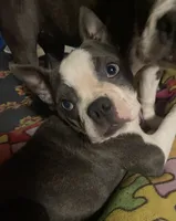 processed/870157c4-2b8a-4bd1-a6da-a4aa47401d41/listing/3f3c6c49-1f9e-476b-90b2-b392563d8e57/de4ae8b6-ce43-45fa-8ab2-7e68cf07f9c4