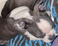 processed/870157c4-2b8a-4bd1-a6da-a4aa47401d41/listing/3f3c6c49-1f9e-476b-90b2-b392563d8e57/e85e81fe-5c92-4a35-90c1-b431766ec73e