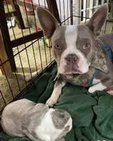 processed/870157c4-2b8a-4bd1-a6da-a4aa47401d41/listing/999e0dbe-3e30-4cbb-9c36-7766cf38e7d3/22cfada6-d74d-40b0-a8df-c185207fed01