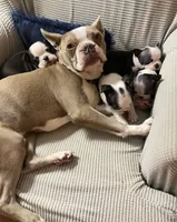 processed/870157c4-2b8a-4bd1-a6da-a4aa47401d41/listing/999e0dbe-3e30-4cbb-9c36-7766cf38e7d3/2d1c14a9-c4a8-457f-8629-58b89718d50e