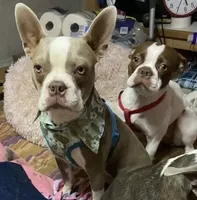 processed/870157c4-2b8a-4bd1-a6da-a4aa47401d41/listing/999e0dbe-3e30-4cbb-9c36-7766cf38e7d3/3b311973-a4aa-4d66-8ca0-00e312bac215