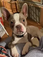 processed/870157c4-2b8a-4bd1-a6da-a4aa47401d41/listing/999e0dbe-3e30-4cbb-9c36-7766cf38e7d3/47041b90-3c8b-4e4a-a8fe-5e0f12e08ae3