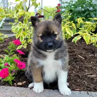 processed/8706005f-6e77-493c-a178-ea4f06f7513b/facility/4ce06fd4-5e22-4732-9980-cd1b3017dc2a