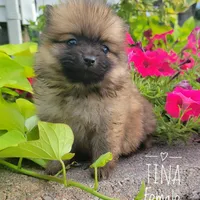 processed/8706005f-6e77-493c-a178-ea4f06f7513b/facility/b1e2b1df-cd70-4e8a-8632-a56dcabfcab6