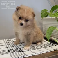 processed/8706005f-6e77-493c-a178-ea4f06f7513b/facility/eb8cd26c-b54d-4f11-bbb8-bc46eeeac36c