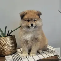 processed/8706005f-6e77-493c-a178-ea4f06f7513b/facility/f69ef826-5806-457f-b1b9-025185d87c4f