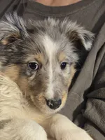 processed/87074dbb-5bb8-42cb-81c8-deb5c06967df/listing/f05332f1-c783-4842-9eb6-52c769847e4d/160454e3-6705-466b-86ac-e85c84b7606f