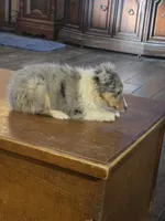 processed/87074dbb-5bb8-42cb-81c8-deb5c06967df/listing/f05332f1-c783-4842-9eb6-52c769847e4d/18c56d61-9be5-4d53-a6c3-4d7b3a06c216