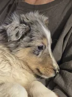 processed/87074dbb-5bb8-42cb-81c8-deb5c06967df/listing/f05332f1-c783-4842-9eb6-52c769847e4d/ba6fc93d-0b9f-4fdf-946c-fe5e9e75dd3e