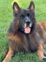 processed/87215f8c-a0a0-4820-a8e0-58fced298ea5/listing/e331d22c-a25a-4163-8a69-c4a4d58b143e/e5e8ce56-8696-4cc3-9705-2eb2073bdc09