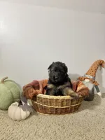 processed/87215f8c-a0a0-4820-a8e0-58fced298ea5/listing/e331d22c-a25a-4163-8a69-c4a4d58b143e/f752a6f8-3972-4205-b835-d83f140d6387