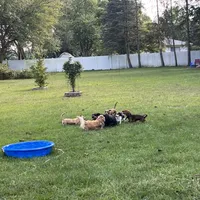 processed/87248bdd-4332-4b54-a60d-839eee4403f7/facility/1bf7c61f-8545-465c-9408-5ac11cf627df