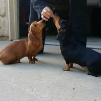 processed/87248bdd-4332-4b54-a60d-839eee4403f7/facility/20bc6713-4f79-43e8-b933-56ccea20ddc8