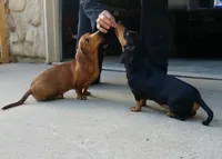 processed/87248bdd-4332-4b54-a60d-839eee4403f7/facility/20bc6713-4f79-43e8-b933-56ccea20ddc8