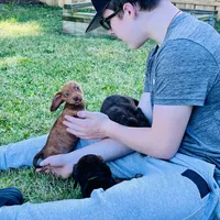 processed/87248bdd-4332-4b54-a60d-839eee4403f7/facility/2d195e82-7f6e-418e-a08f-db3cb28ead22