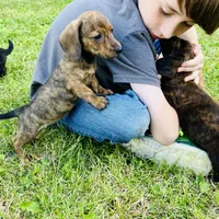 processed/87248bdd-4332-4b54-a60d-839eee4403f7/facility/7ccc3fad-7e59-49dd-9bd4-10112a7c80fe