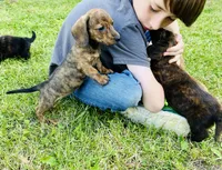 processed/87248bdd-4332-4b54-a60d-839eee4403f7/facility/7ccc3fad-7e59-49dd-9bd4-10112a7c80fe