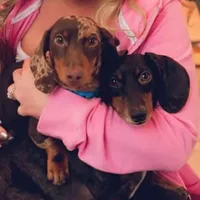 processed/87248bdd-4332-4b54-a60d-839eee4403f7/facility/f65bd3cc-0f43-418c-a401-d65eee96dd88