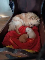 processed/8729fef0-b087-4bdd-a16e-6590aa806a68/listing/2fdcafdd-ae04-48ca-be87-201de2f632c3/c7ec9bb1-9b85-4000-8d11-8f95653a0f64