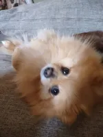 processed/8729fef0-b087-4bdd-a16e-6590aa806a68/listing/2fdcafdd-ae04-48ca-be87-201de2f632c3/e9270934-a4e5-43b2-ae90-c426cd5ab471