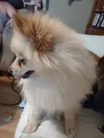 processed/8729fef0-b087-4bdd-a16e-6590aa806a68/listing/bb1be34e-6bfd-493d-bd20-5785157d3df2/02b2c3c7-bf93-4e04-8f9b-12ed6ce9644d