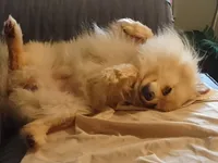 processed/8729fef0-b087-4bdd-a16e-6590aa806a68/listing/bb1be34e-6bfd-493d-bd20-5785157d3df2/19bdb82c-7731-4999-a9c7-79f79c6b7222