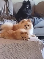 processed/8729fef0-b087-4bdd-a16e-6590aa806a68/listing/bb1be34e-6bfd-493d-bd20-5785157d3df2/cef9573c-4045-4800-929c-6592f6db75f7