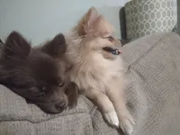 processed/8729fef0-b087-4bdd-a16e-6590aa806a68/listing/bb1be34e-6bfd-493d-bd20-5785157d3df2/f3497796-12ee-4e24-8000-b84cb5262d58