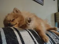 processed/8729fef0-b087-4bdd-a16e-6590aa806a68/listing/bb1be34e-6bfd-493d-bd20-5785157d3df2/fcd7ff93-ac66-4261-ac95-2b4bc868c8c1