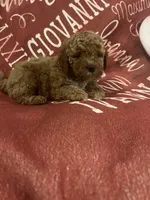 processed/872d1072-3c6e-4e97-beee-cd90f0775ced/listing/4f697c5f-5320-4c67-acfd-2eb585650e0a/344050ec-5935-4755-ba8d-02e67e991f59