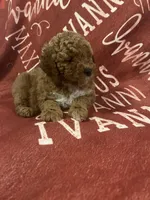 processed/872d1072-3c6e-4e97-beee-cd90f0775ced/listing/4f697c5f-5320-4c67-acfd-2eb585650e0a/81fdfec5-89c5-40ac-bfdc-9c371959351d