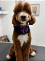 processed/872d1072-3c6e-4e97-beee-cd90f0775ced/listing/4f697c5f-5320-4c67-acfd-2eb585650e0a/f89f7b93-12db-4429-bf2a-97f00fbf6869