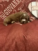 processed/872d1072-3c6e-4e97-beee-cd90f0775ced/listing/f000286a-14a7-432c-b874-a56aec445129/21ccf015-6834-4b0a-b0ce-0bd0903e19b2