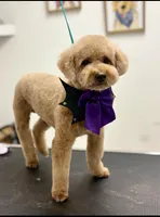 processed/872d1072-3c6e-4e97-beee-cd90f0775ced/listing/f000286a-14a7-432c-b874-a56aec445129/deaff16a-a059-4704-a77a-8f3ed7caef15