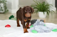 processed/8740080d-3976-4f8b-bc43-7e9c2d2c5623/listing/143ec854-2b8b-4ce3-99f7-40a366dffa7b/0fded1e0-2c1c-4eda-a6ce-4cd223ca5ab3